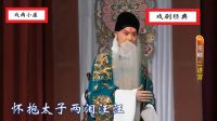 京剧《二进宫》史依弘 李军 安平下载