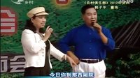 《大西厢报板》韩子平 董玮