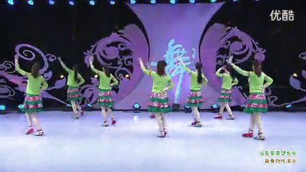 美久广场舞《站在草原望北京》背面演示标清下载