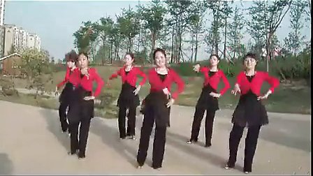 美久广场舞《我从草原来》武冈市飞鹏数码制下载
