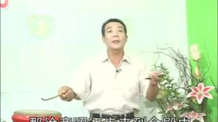 琴书《刘凤龙扫北》22集下载