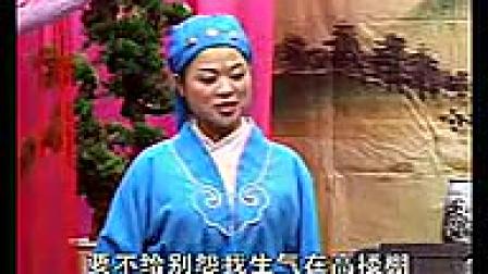 琴书《白金哥访母》07集 实景版下载