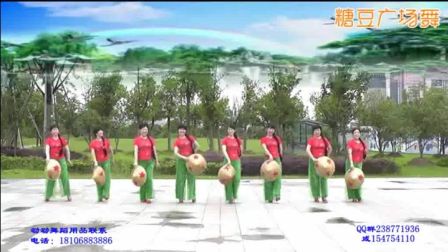 动动广场舞严凤舞制作《 万泉河水清又清 》变队形下载