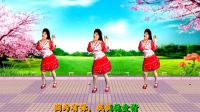 最新吕芳广场舞《桃花姑娘》正背面编舞萱萱