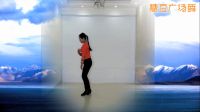 王梅广场舞《天边的巴拉格宗》编舞応春梅高