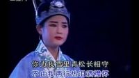 潮剧《一片恩情深似海》支持会下载