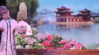 豫剧大《大祭桩花园一折》下载