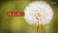 青青世界广场舞《宝贝再来一次》美女热舞下载