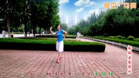 金灿灿广场舞《情为何物》正反面演示下载