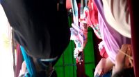 庐剧现场《秦香莲》4下载