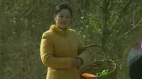 庐剧《赌博佬借老婆》3下载