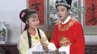 庐剧《红白仙娘》3 倪媛媛 夏飞 温俊 陈君子 沈卿卿下载