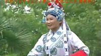 庐剧《荒年母女》3下载
