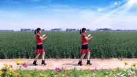 河北青青广场舞《DJ老公》下载