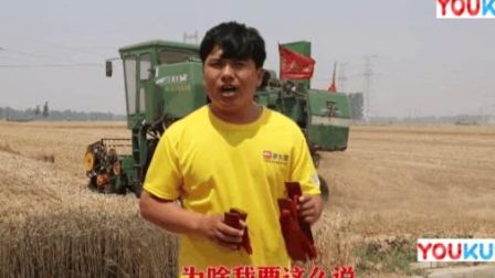 杨晓琼莲花落《晓琼说夏粮收购》下载