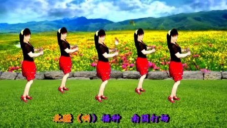 2017吕芳广场舞《在希望的田野上》老歌好学舞 正背面及分解动作下载