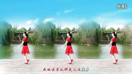 金灿灿广场舞《花开的时候你就来看我》标清下载