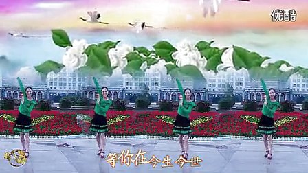 金灿灿广场舞《我在红尘中等你》四人版标清下载