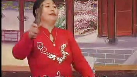 河南坠子《徐延忠搬兵》30集 韩书英