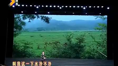秦腔全本《忠保国》又名《二进宫》西安秦腔