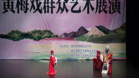 黄梅戏《我本闺中一钗裙》（张海燕 吕必珍）