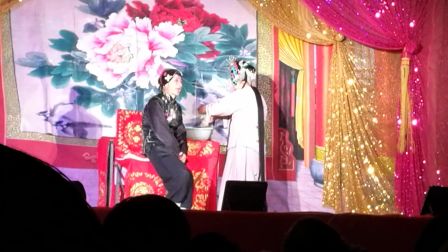珊瑚情片段VID20170414下载