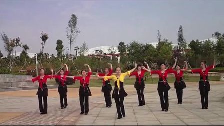 格格广场舞《边疆的泉水清又纯》（系列三）高清下载