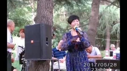 豫剧《桃花庵》选段《九尽春回杏花开》 丁