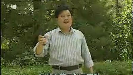 河南坠子《小八义》贾氏女梳头  《河南坠子