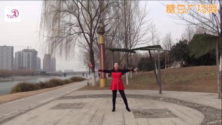 美久广场舞《唱着情歌留着泪》双人对跳32步附教学下载