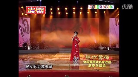 黄梅戏《我本闺中一钗裙》字幕版