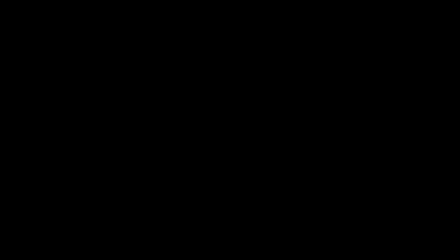 二夹弦《撕蛤蟆》