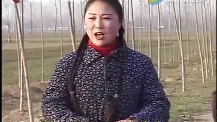 安徽民间小调《老叫驴吃青草》 标清