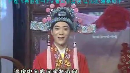 庐剧《真假驸马》3 魏小波 汪莉 季益宏 王小兰 杨大玲下载