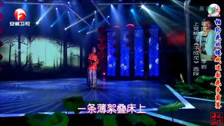 HD 上党梆子《于成龙》选段 李岩等下载
