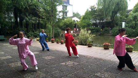王凤英老师四十式太极拳20170614 《杨式太极拳教学》下载