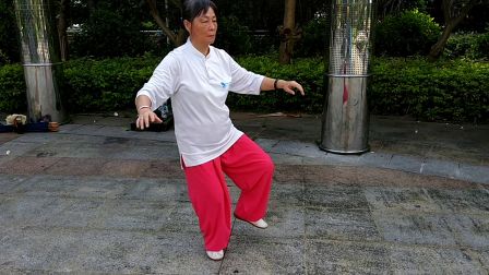 传统85杨式太极拳演练者 李瑞下载