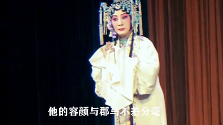 河北梆子《金铃记》寇准背靴上下载