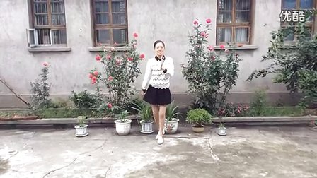 新生代广场舞《凤凰飞》高清下载