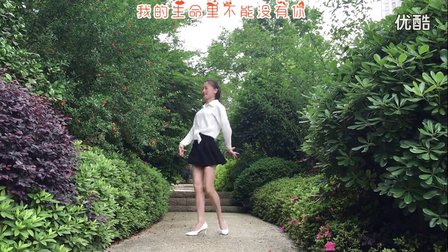 新生代广场舞《白天的月亮》公园外景 编舞雨夜 高清下载