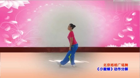 格格广场舞《小蜜蜂》高清下载