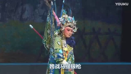 蒲剧《对花枪》空盼望气难忍我好心伤下载