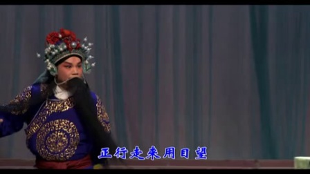 河北梆子《秦香莲 杀庙》字幕版下载