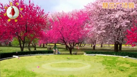 桃花谣《糖豆》字幕版下载