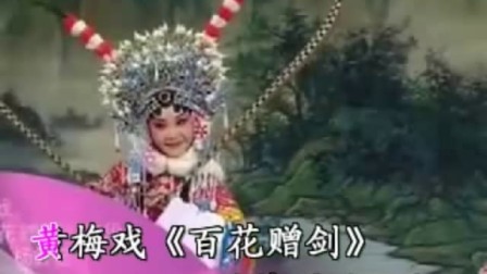 黄梅戏《百花赠剑》花园独叹下载