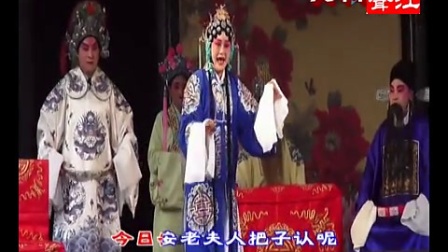 淮剧专场《金殿认子》等演出 第3场字幕版下载