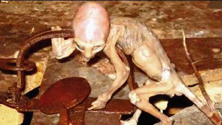 神秘古诗隐藏外星生物记录下载