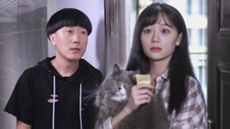 单身狗巧用猫咪换取美女芳心 36下载