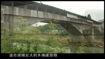 第七十七集 廊桥下载