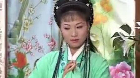 庐剧《母子连心》5高清下载